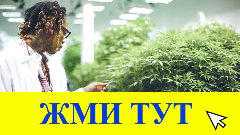 Купить наркотики в Шумерле